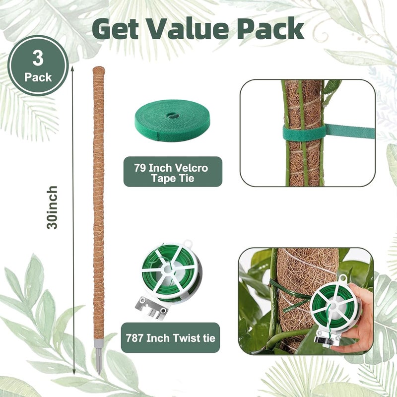 LIFENEST 3 Pack Moss Pole, 30 Inch Monstera Plant Support， Moss Poles for Climbing Plants Indoor DIY, Coco Coir Plant Pole Moss Plant Stick Support Stake Kit for Potted Plants, Pothos, Philodendron - Image 5